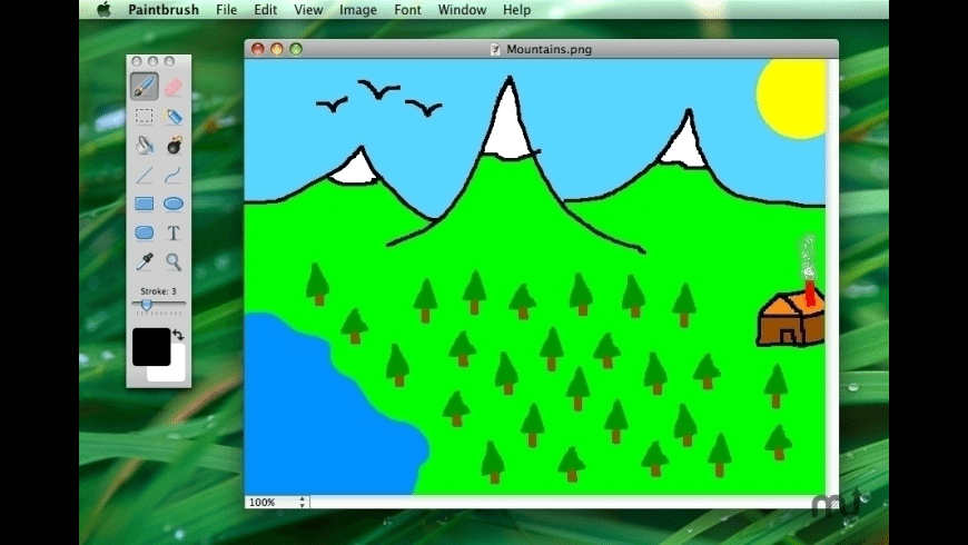 program similar to ms paint for mac